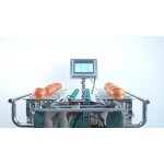 Combination Weigher Supplier - Manual Fruit Check Weigher