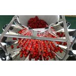 Packaging Machine Supplier - Automatic Fruit Vegetable Weighing