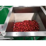 Incline Conveyor Manufacturer - Automatic Industrial Fruit