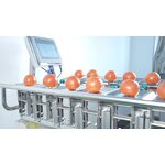 Combination Weigher Supplier - Manual Fruit Check Weigher