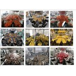 Packaging Machine Manufacturer - Semi-Automatic Beef Jerky