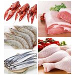 Packaging Machine Supplier - Ziplock Pouch Pick Fill Seal