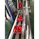 Packaging Machine Factory - Automatic Cherry Tomatoes Packing