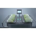 Combination Weigher Factory - 12/14 Head Manual for Vegetables