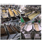 Linear Weigher Manufacturer - 2/4 Head Rice Pet Food Weigher