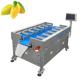 Combination Weigher Manufacturer - 12/14 Head Manual Belt Conveyor