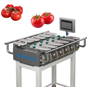 Combination Weigher Supplier - Manual Fruit Check Weigher