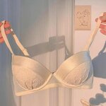 Women's Push Up Bra Manufacturer - OEM/ODM Custom French Satin Lace Small