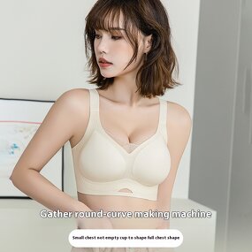 Women's Push Up Bra Manufacturer - OEM/ODM Custom Wire Free Anti Gravity