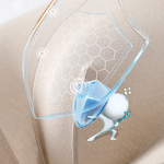 Men's Boxer Briefs Manufacturer - OEM/ODM Custom Antibacterial Seamless