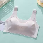 Girls Underwear Manufacturer - OEM/ODM Custom Seamless Thin Cup