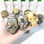 Crystal Skull Factory - High Quality Hand Carved Septarian