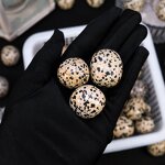 Tumbled Stone Factory - High Quality Dalmatian Jasper Energy