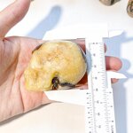 Crystal Skull Factory - High Quality Hand Carved Septarian