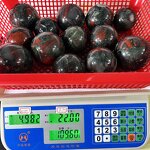 Crystal Ball Factory - Blood Stone Sphere Home Decor