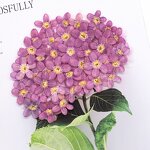 Dried Flower Resin Mold Manufacturer - Custom Pressed Flower Epoxy Silicone Mold