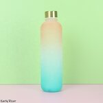 Sports Space Cup Manufacturer - OEM Gradient Color Frosted Large Capacity