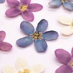 Dried Flower Resin Mold Manufacturer - Custom Pressed Flower Epoxy Silicone Mold