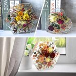 Popsicle Mold Manufacturer - Custom 12-Cavity BPA-Free Ice Cream Maker Mold