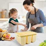 Popsicle Mold Manufacturer - Custom 12-Cavity BPA-Free Ice Cream Maker Mold