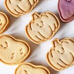 Mini Cookie Cutter Factory - OEM PLA Peanut Chestnut Corn Lemon 3D Baking Mold