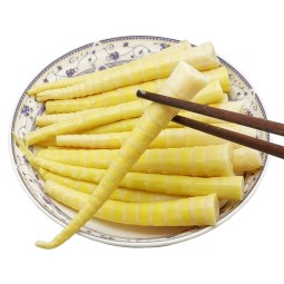 罐装竹笋生产商-批发四川新鲜蔬菜