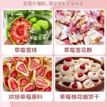 冻干草莓工厂-代工脆干果