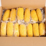 即食玉米工厂-代工真空包装玉米棒
