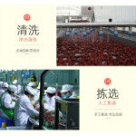 红枣供应商-代工新疆干制健康零食
