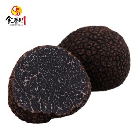 Frozen Truffles Factory - OEM Yunnan Wild Black Truffle