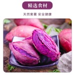 火锅面供应商-批发紫薯粉丝