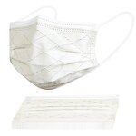 Disposable Face Mask Manufacturer - OEM Fashion Lace Pattern 3 Ply Mask