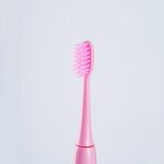 Electric Toothbrush Factory - OEM Wholesale Round Head Sonic