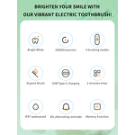 Electric Toothbrush Manufacturer - OEM Cheap IPX7 Waterproof