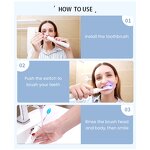 Electric Toothbrush Manufacturer - OEM Private Label 4 Model