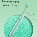 Electric Toothbrush Supplier - OEM Intelligent Type C Rechargeable
