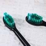 Electric Toothbrush Manufacturer - OEM 4 Mode Blue Light Sonic