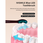 Electric Toothbrush Manufacturer - OEM Custom Wireless Charging