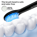 Electric Toothbrush Supplier - OEM Adult Rechargeable LED Sonic