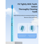 Electric Toothbrush Manufacturer - OEM Wireless 6 Blue Lamp
