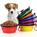 Pet Bowl Factory - Foldable Silicone Portable Pet Dish