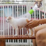 Portable Dog Shower Supplier - Silicone Pet Bath Spray Head
