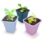 Seed Starter Trays Supplier - Reusable Thickened Nursery Pots