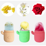 Face Ice Mold Factory - Portable Cactus Design Massage Tool
