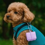 Pet Travel Bowl Supplier - 2in1 Collapsible Silicone Feeding Bowl