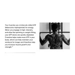 Organic Creatine Monohydrate Supplement  500G Support Muscle Growth High Quality Creatine Monohydrate Powder