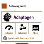 Ashwagandha Root Supplement for Men and Women Support  Stress Response Ashwagandha Capsules