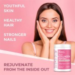 Multi Collagen Peptides Exyract Featuring Collagen Types I, II, III Support for Beauty Health Multi Collagen Peptides Powder