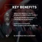 Customized Organic Creatine Monohydrate Powder Muscle Gain Sport Nutrition Creatine Powder for Adults