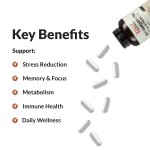 Organic Ashwagandha Root Extract Capsules for Stress Relief and Mood Enhancer Antioxidant Support Supplement 120 Capsules